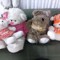 عروسکهای پولیشی و پشمالو