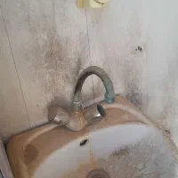 سرویس بهداشتی سیار