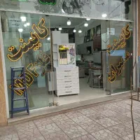 کابینت صفحه شرکتی امیر علی