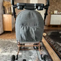 کالسکه دلیجان نو