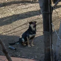 فروشنده هستیم