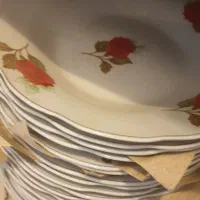 بشقاب خورشت خوری گل رز
