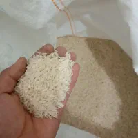 فجر اعلاء سوزنی شمال