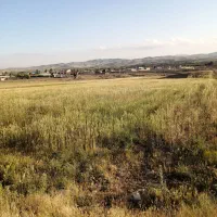 زمین برای سرمایه گذاری مطمئن