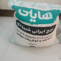 برنج شمال کشور برنج شیرودی و طبیعت