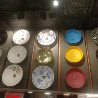 کاسه روشویی درطرح و رنگ های متنوع