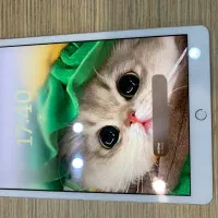 Ipad 7|تبلت|یزد, |دیوار