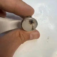 انگشتر مردانه شجر