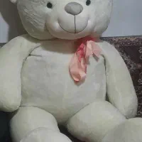 خرس دو متری چشم آبی