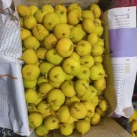 انجیر تازه چین