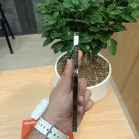 iphone 13 pro max zaa|موبایل|تهران, نعمت‌آباد|دیوار
