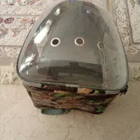 قفس و کوله حمل پرندگان