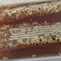 عسل محلی