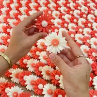 گالری پریماه