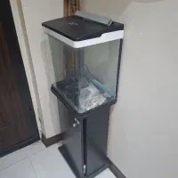 اکواریوم