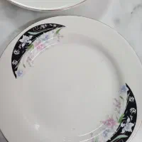 چند دست بشقاب پیشدستی وپارچ