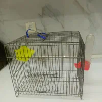 قفس پرنده