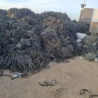خریدنوارتیف قطره ای لوله بابالاترین قیمت
