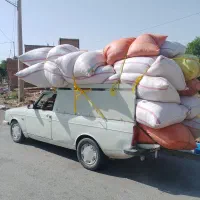 کاه دیم بدون یه زره گردخاک
