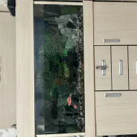 اکواریوم