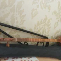 سه تار همراه با کیف