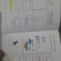 سگ dag|سگ|فولادشهر, A6|دیوار