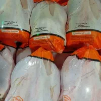 مرغ تازه کشتارروز