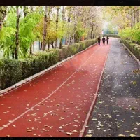 اشتراک مجموعه فرهنگی ورزشی انقلاب با 28٪ تخفیف