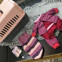 باکس پت یا گربه