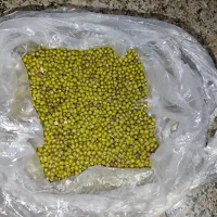 ماش