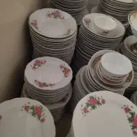 گلسرخی در حد نو