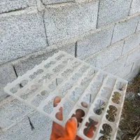 شانه تخم مرغ