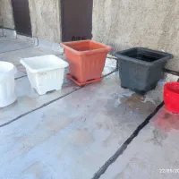 تعدادی گلدان بزرگ 50در 50 و کوچک