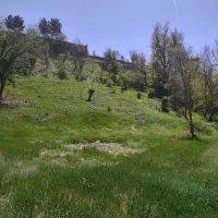 فروش-زمین-زیارت-کیلان