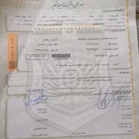 مدارک گمشده
