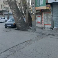 فروش ملک تجاری و مسکونی حاشیه خیابان ولیعصر شاندیز