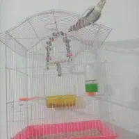 قفس بزرگ
