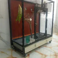 قفس طوطی