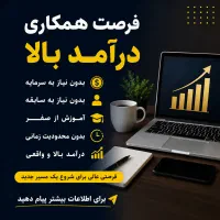 بدون سرمایه چطور درآمد بالا داشته باشیم