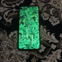redmi 15c 256|موبایل|پرند, فاز ۶|دیوار