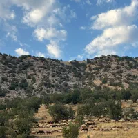 مدیر و مربی مهدکودک