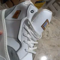 کیف و کفش