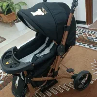 فروش گالسکه دلیجان