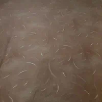 موکت‌وسالم‌وبدون‌پارگی‌سه‌تکه