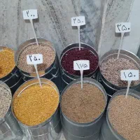 حبوبات وبرنج