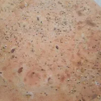 نان هیزمی پخت از شش  عصربه بعد