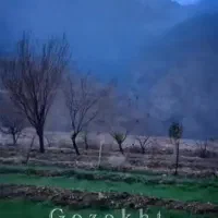 سفر به خوان، سرزمین سپیدارها