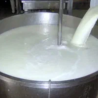 شیر گاوی پرچرب ب قیمت خرید