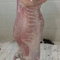 قصابی سیار