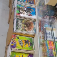 پخش دفاتر فانتزی